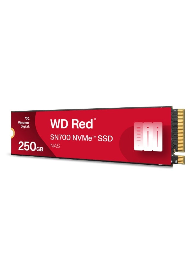 Western Digital 250GB WD Red SN700 NVMe SSD, Internal Solid State Drive for NAS Devices - WDS250G1R0C-68BDK0 - Image 1